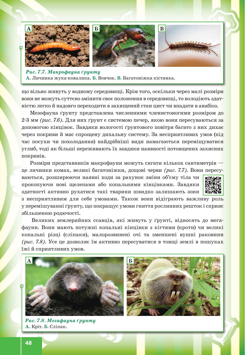 Мініатюра 48