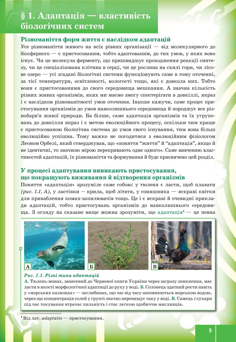 Мініатюра 5