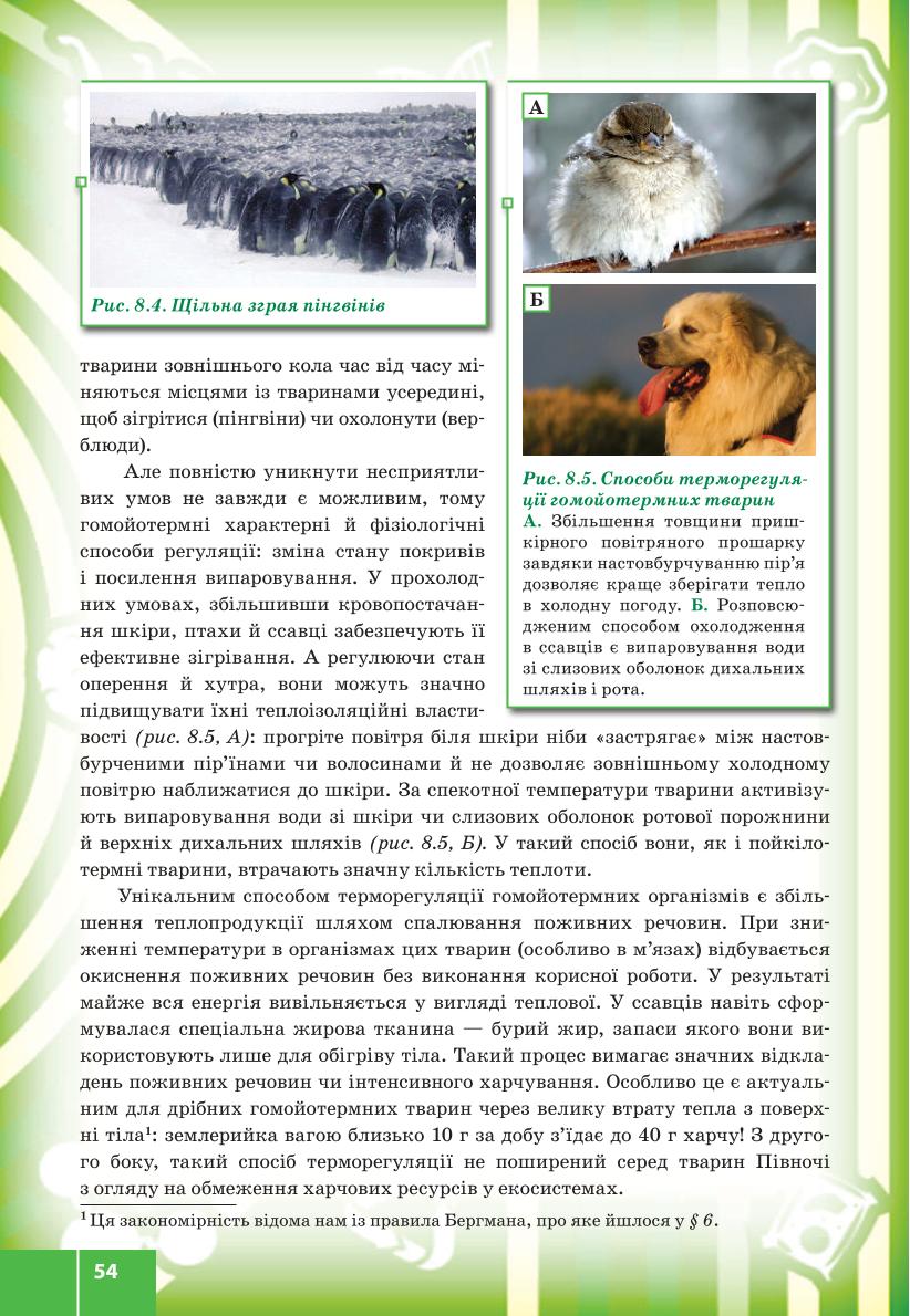 Мініатюра 54