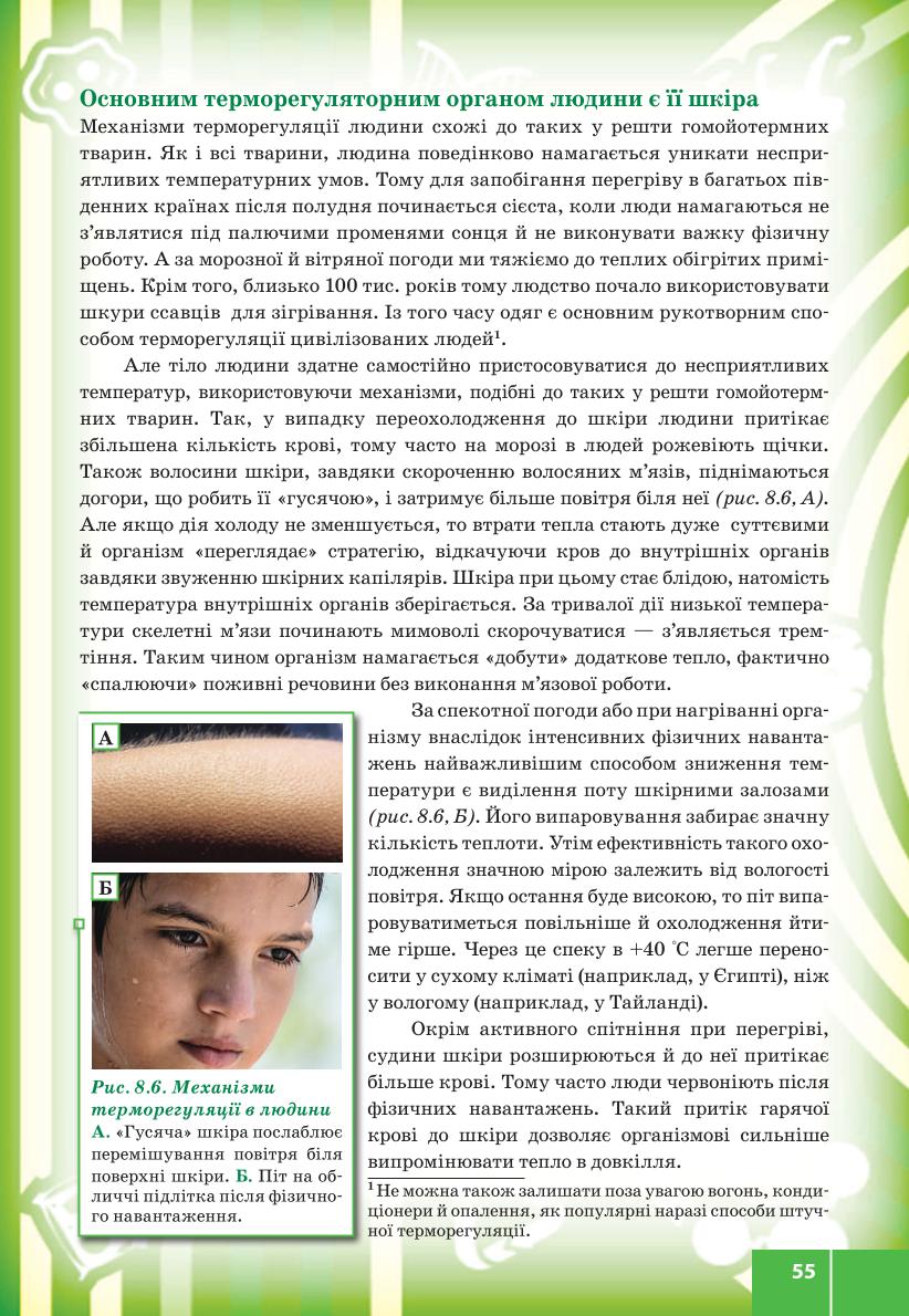 Мініатюра 55