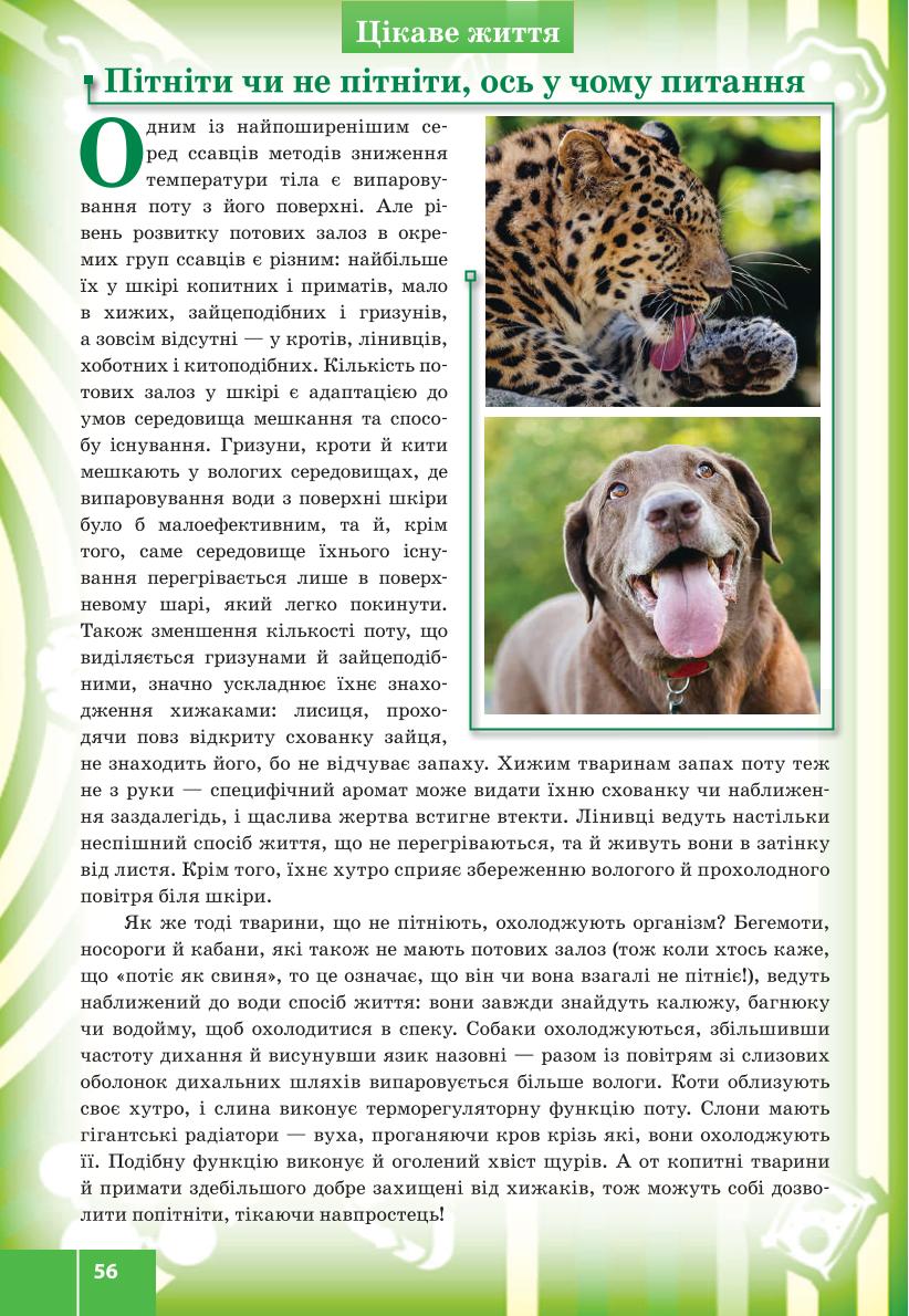 Мініатюра 56