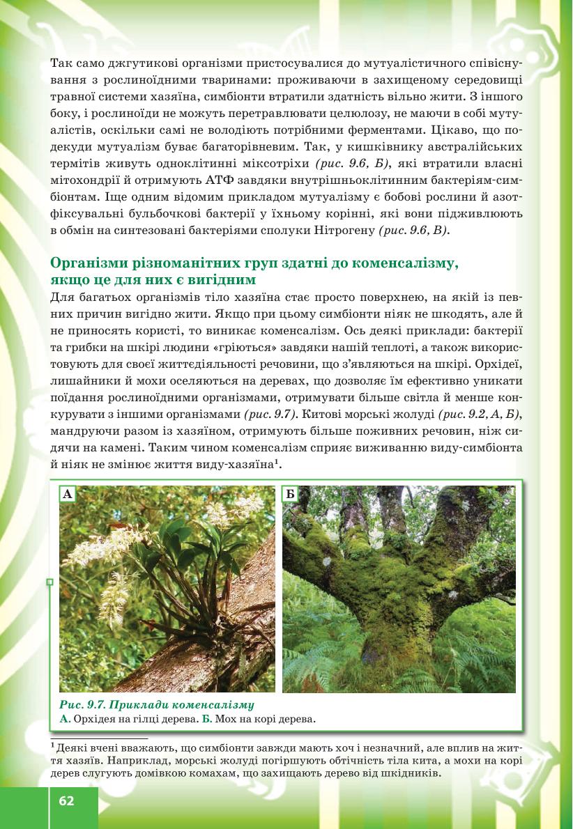 Мініатюра 62