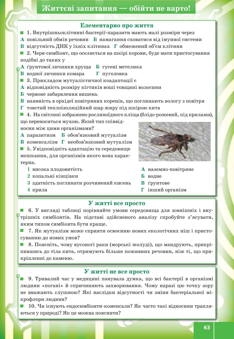 Мініатюра 63