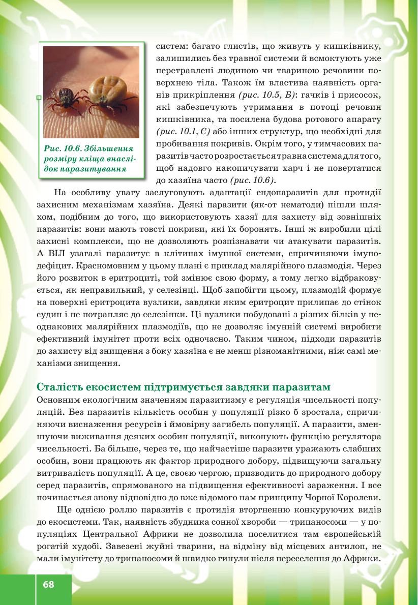 Мініатюра 68
