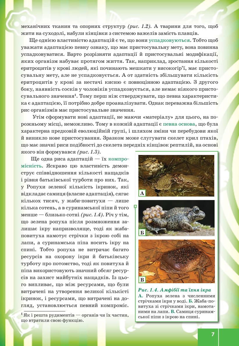 Мініатюра 7