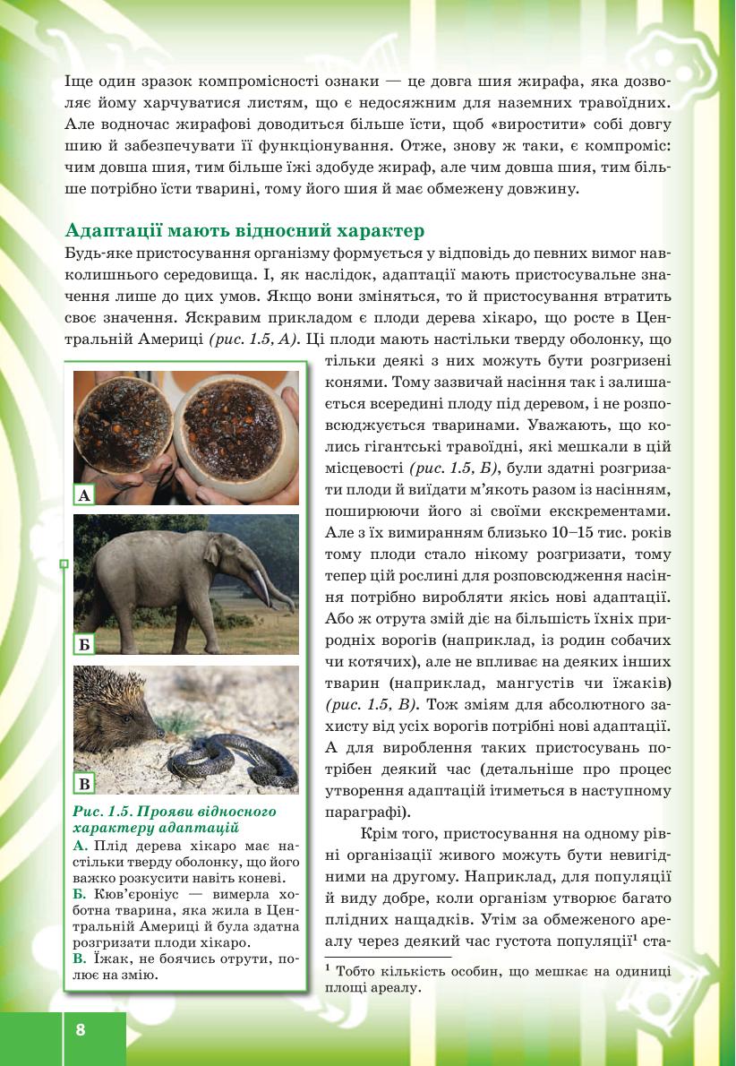 Мініатюра 8