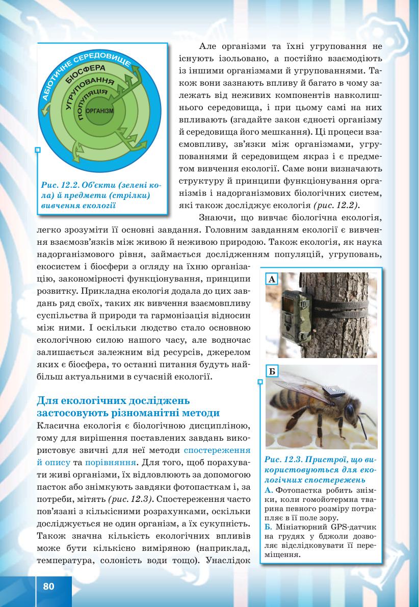 Мініатюра 80