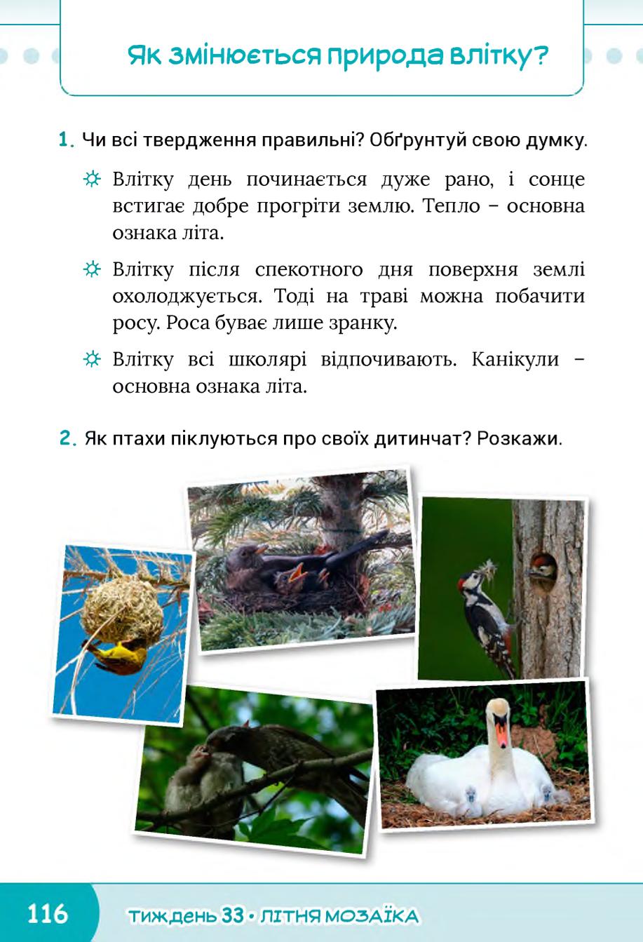 Мініатюра 116