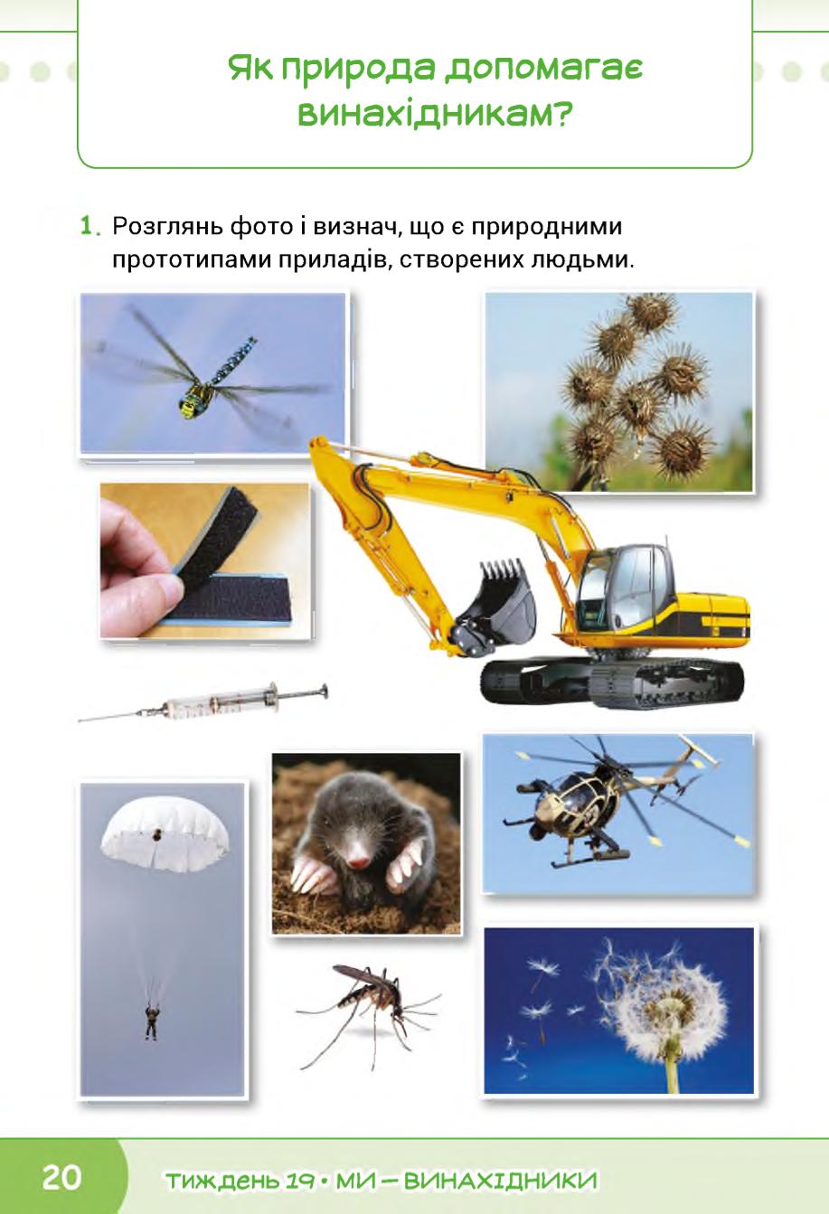 Мініатюра 20