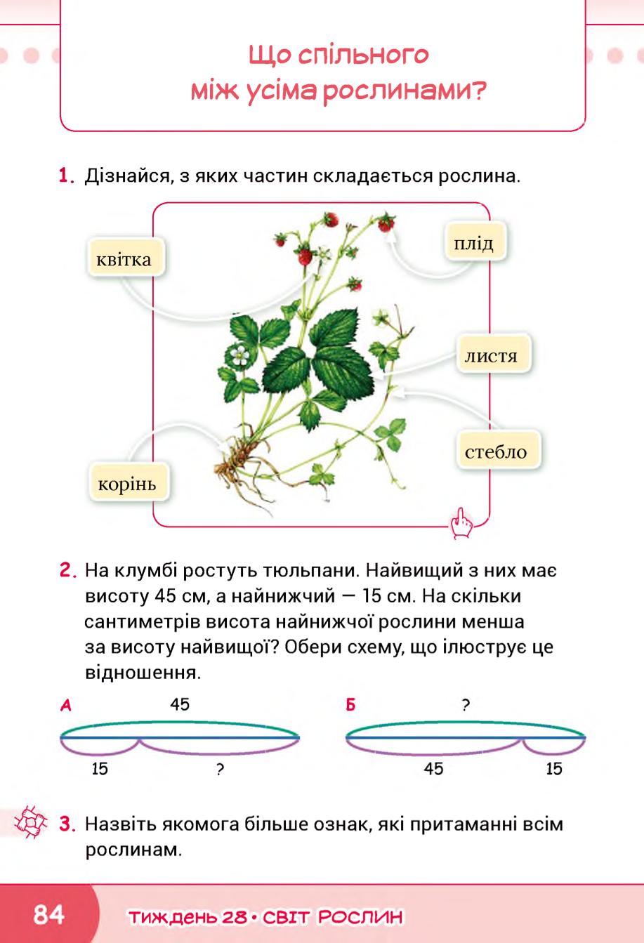 Мініатюра 84