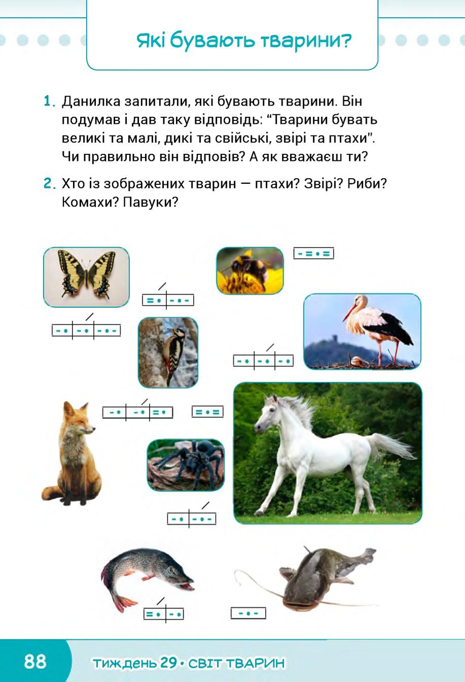 Мініатюра 88