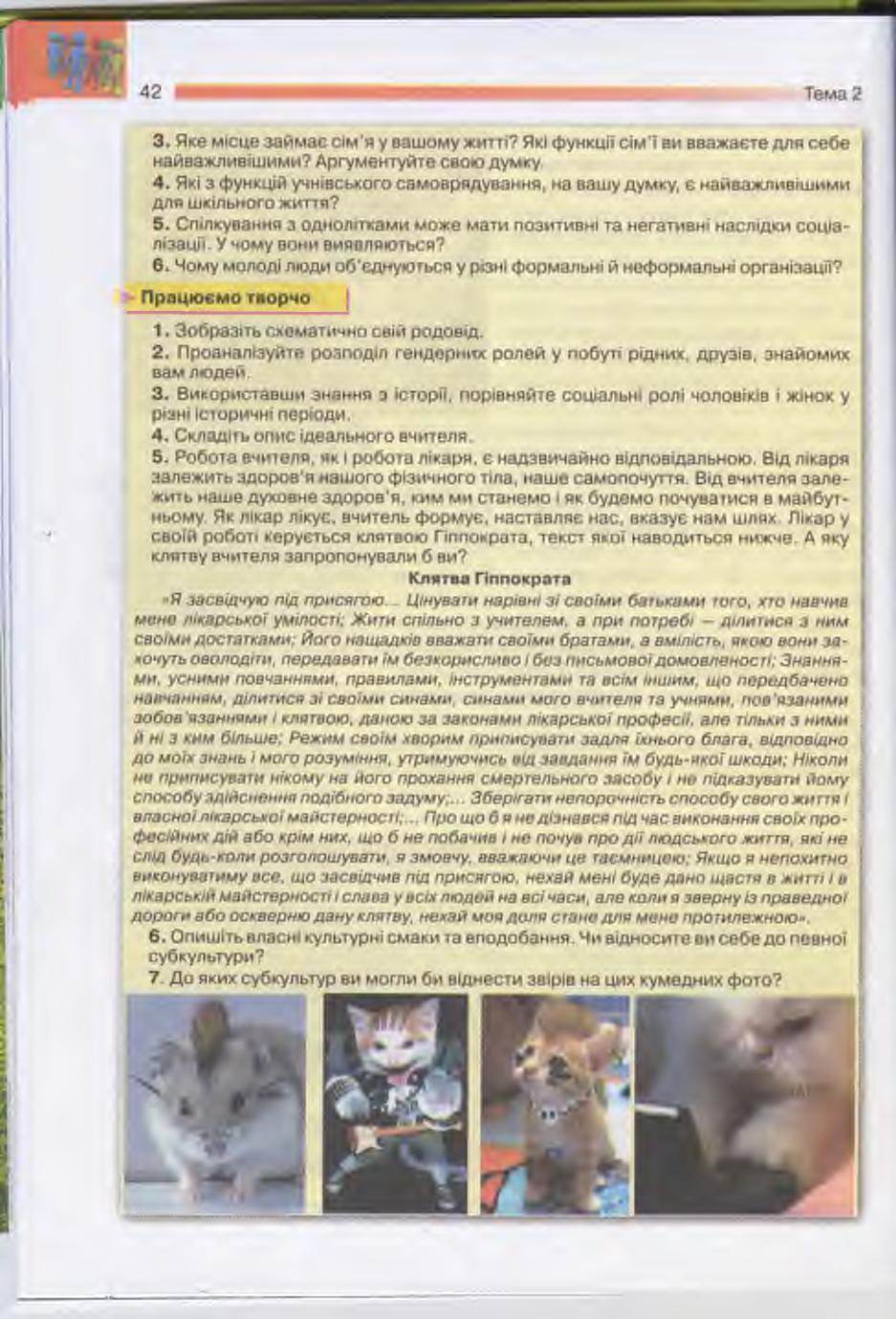 Мініатюра 42