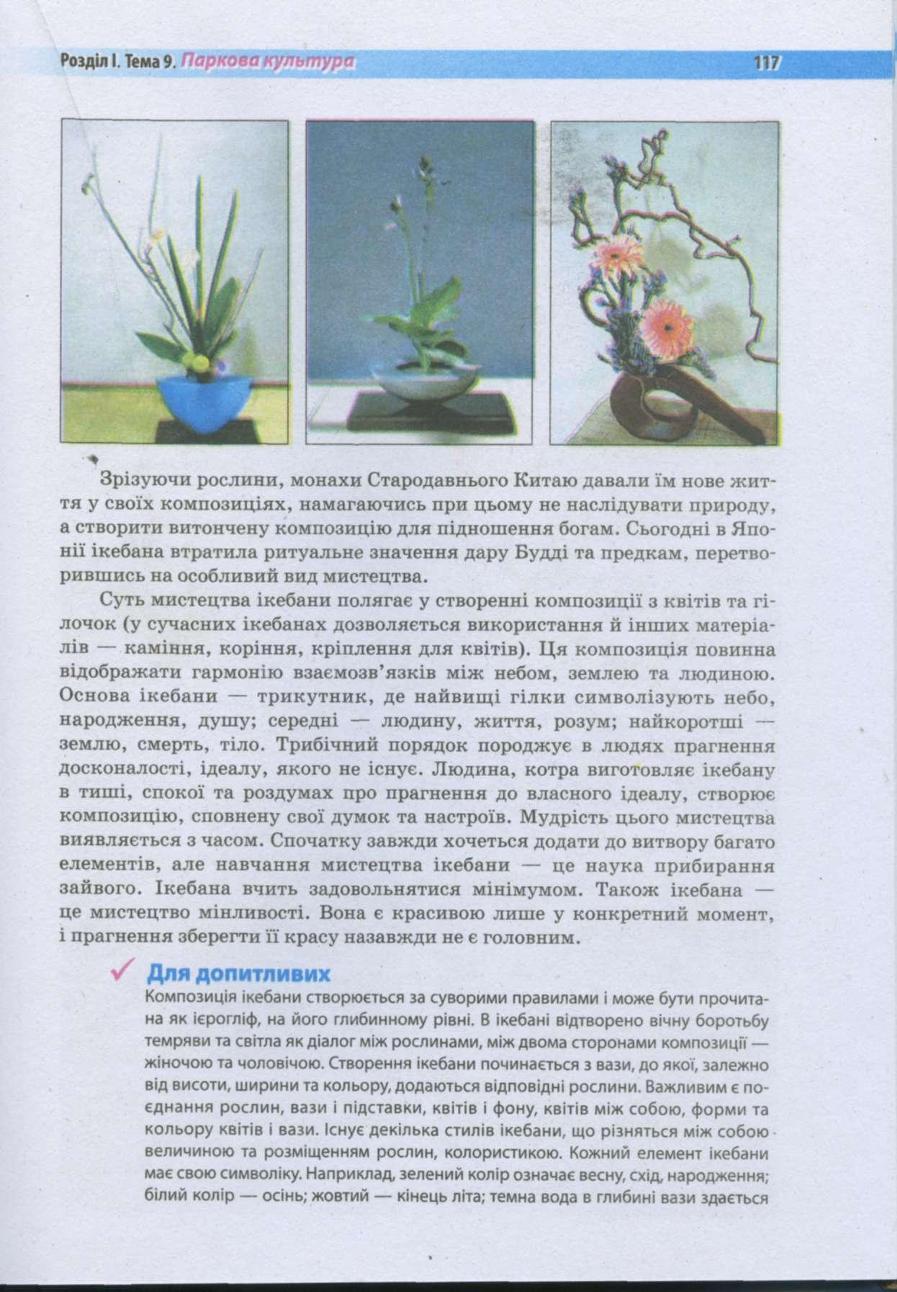 Мініатюра 117