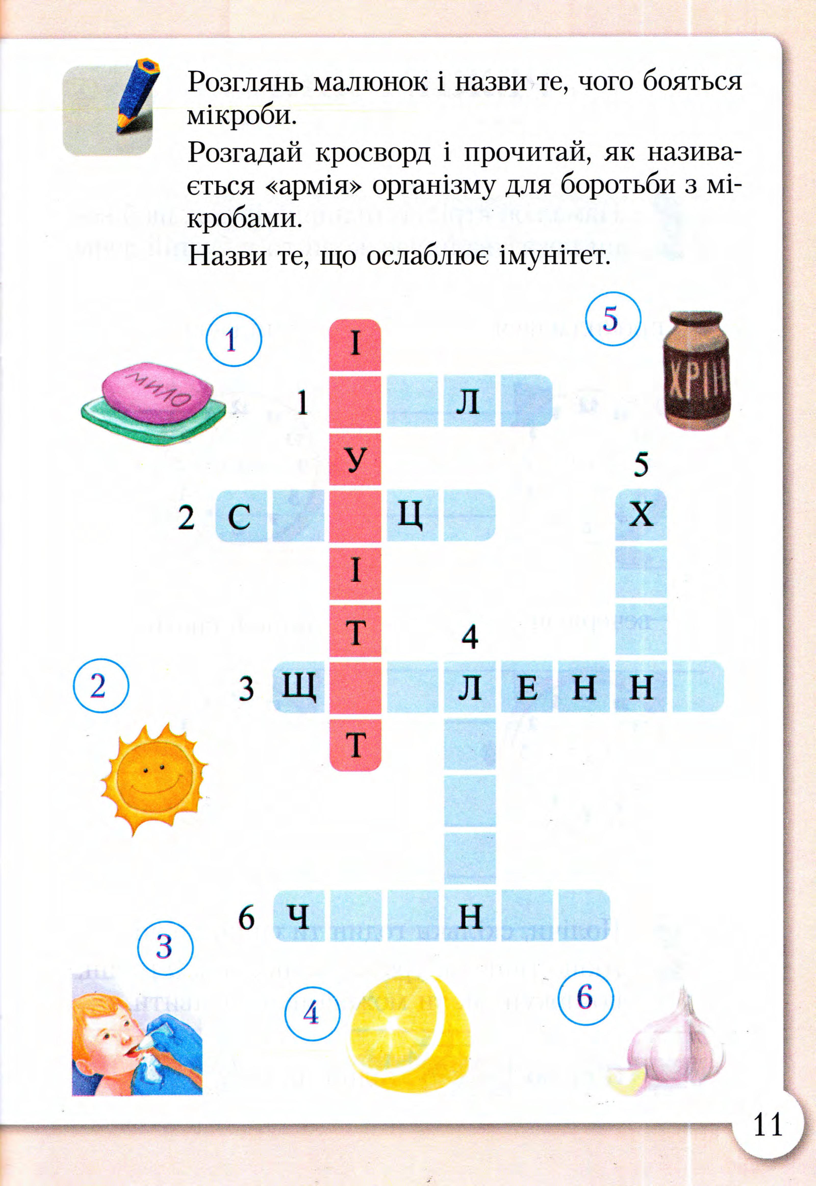 Мініатюра 11