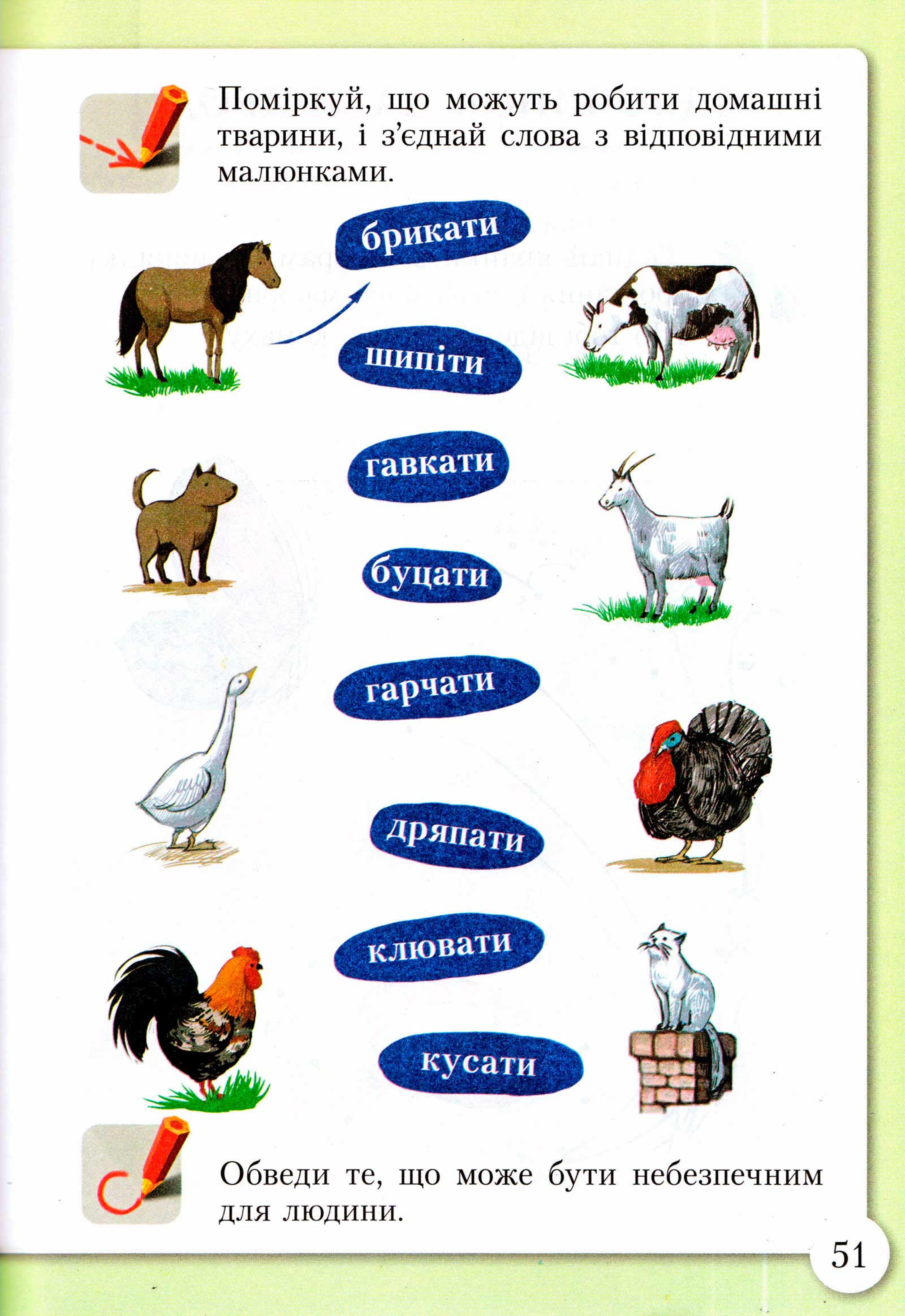 Мініатюра 50