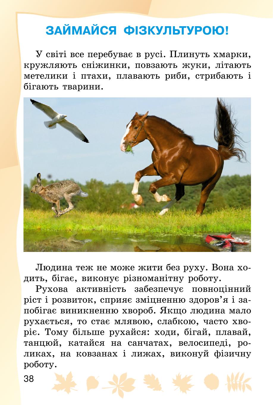Мініатюра 38