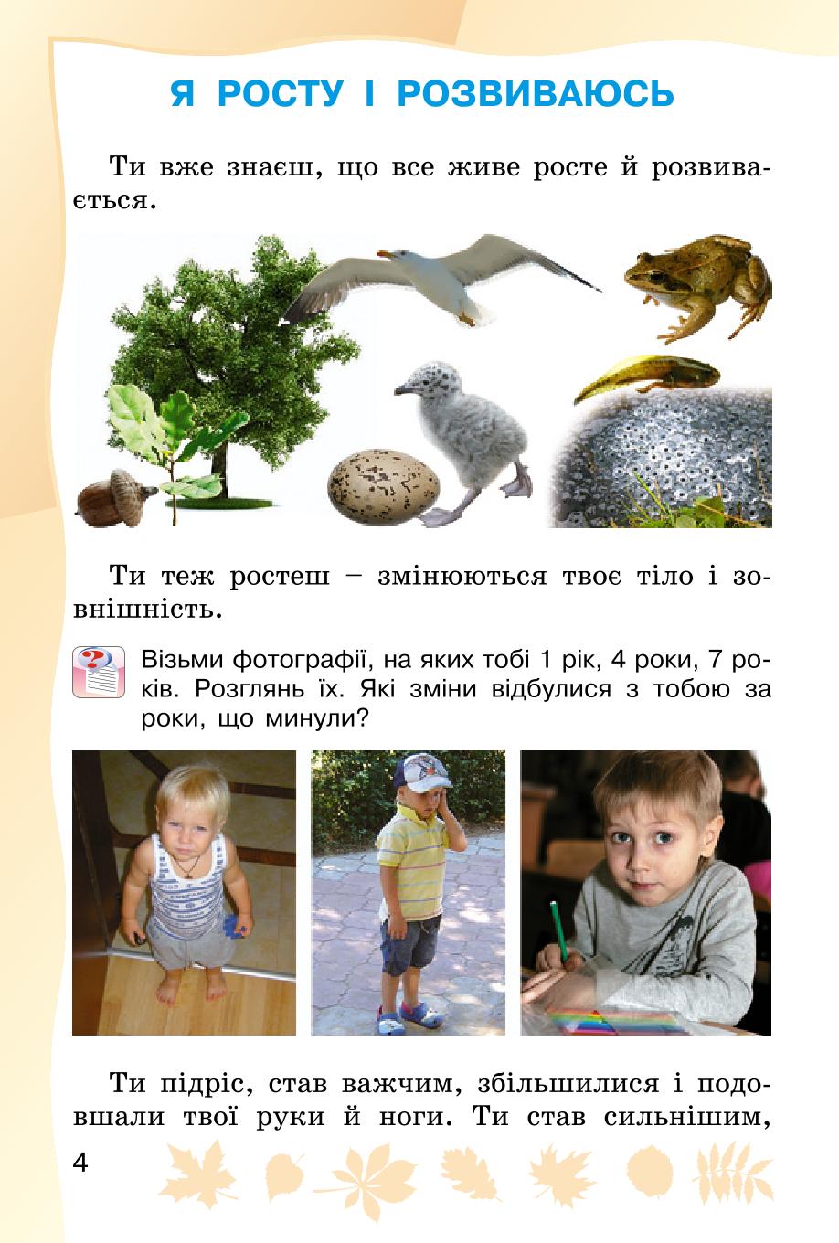 Мініатюра 4