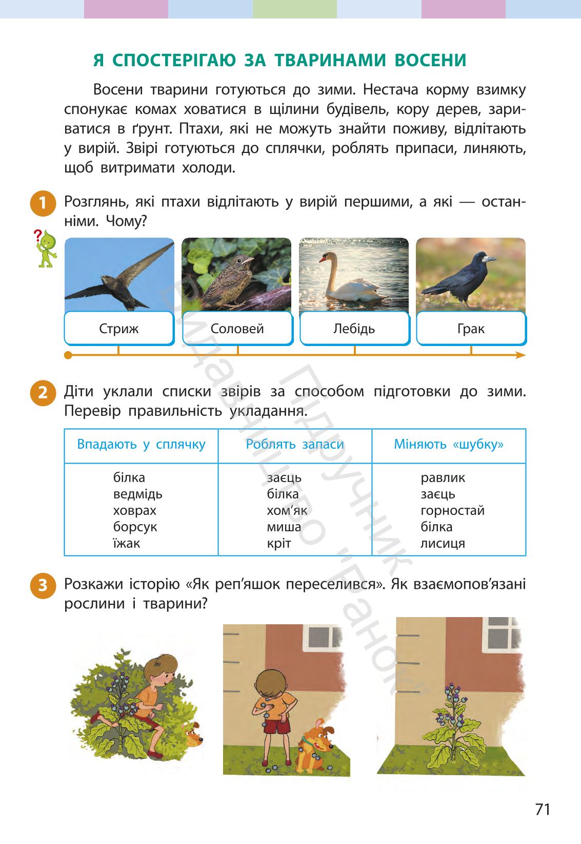 Мініатюра 71
