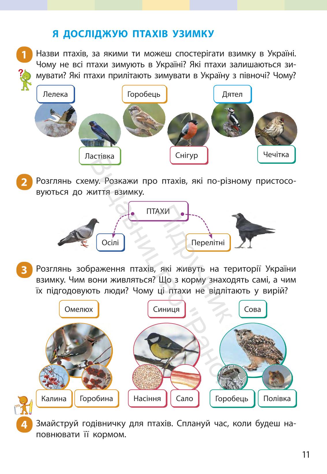 Мініатюра 10