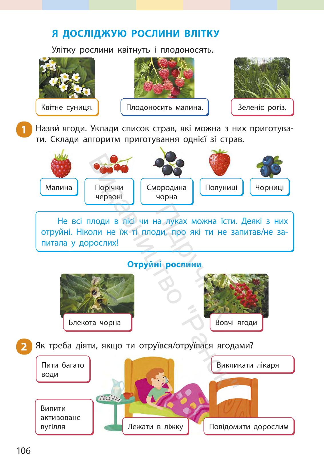 Мініатюра 105