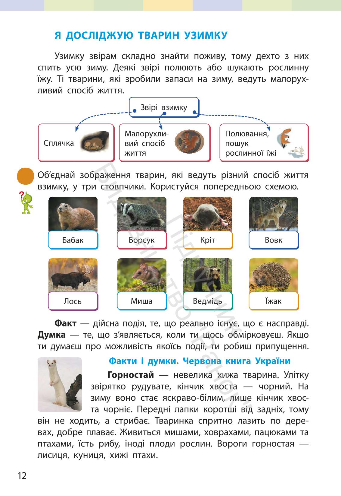 Мініатюра 11