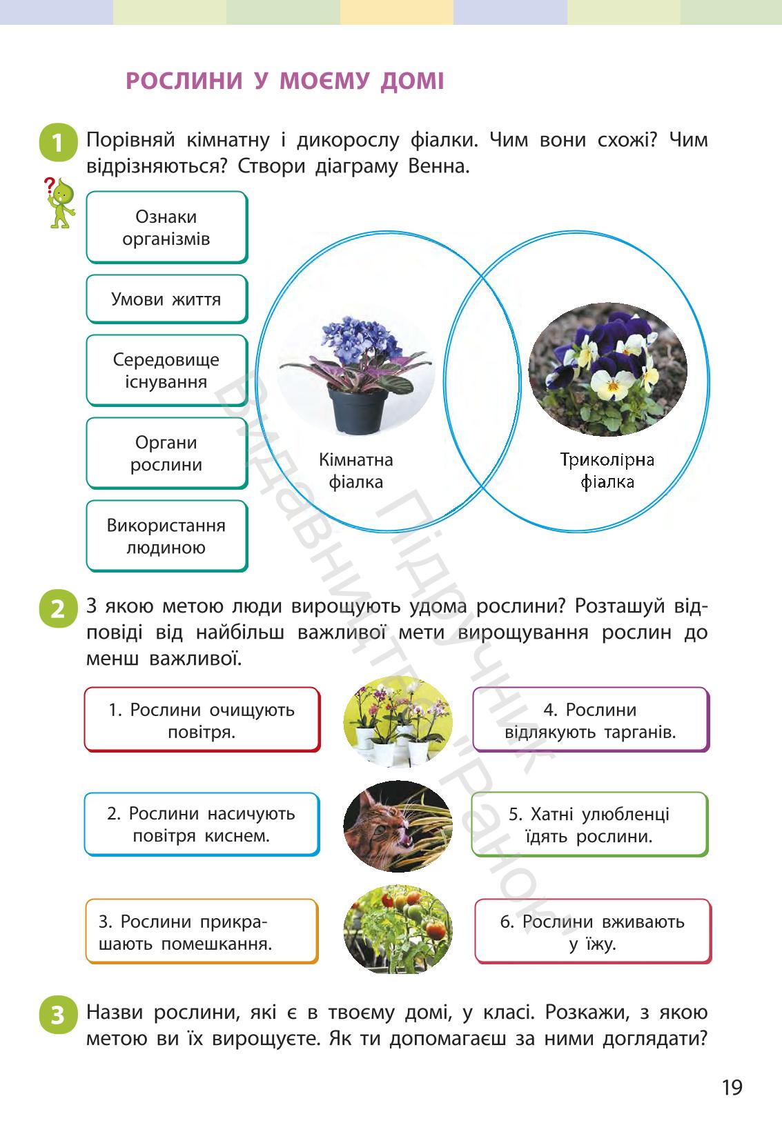 Мініатюра 18