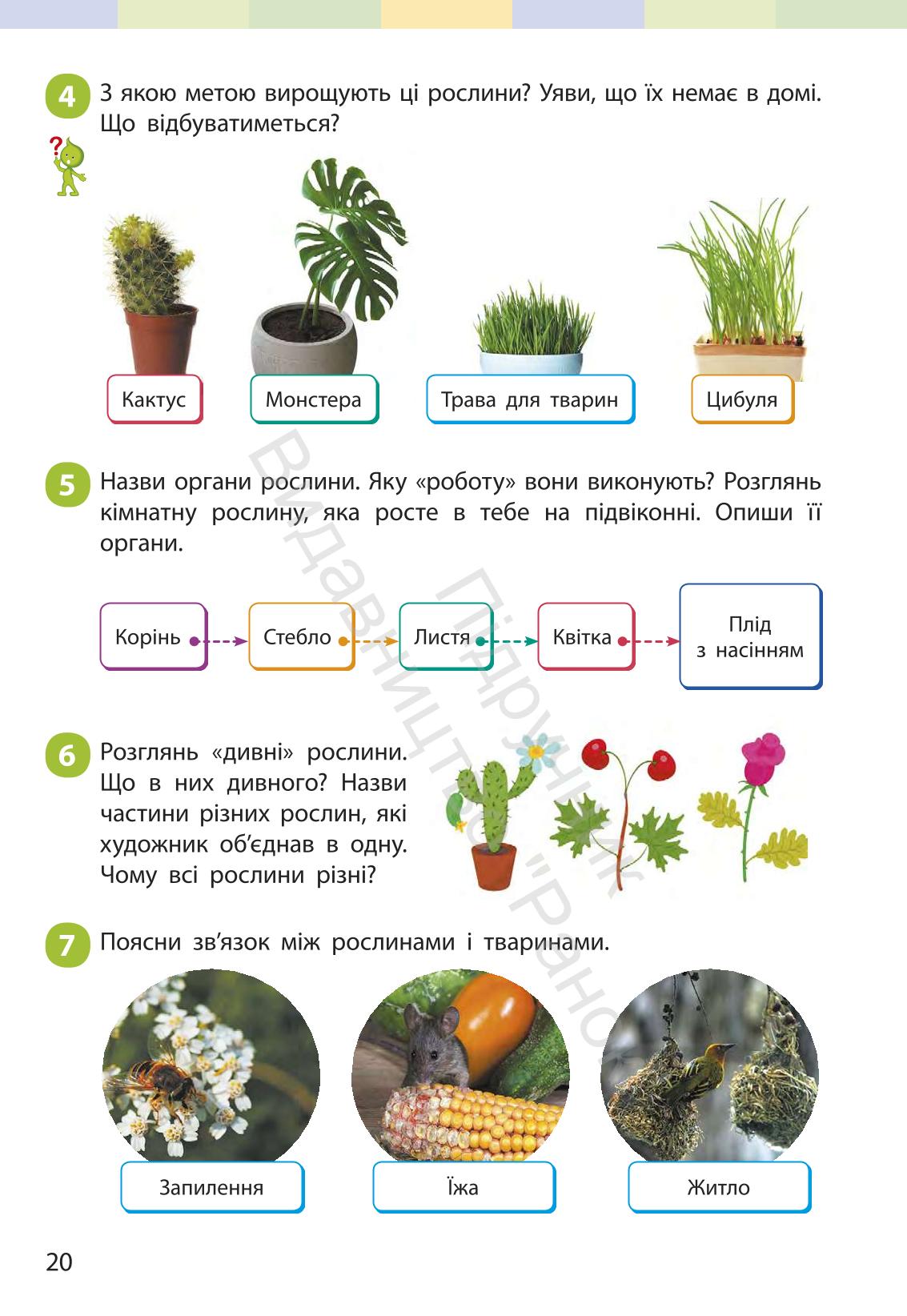 Мініатюра 19