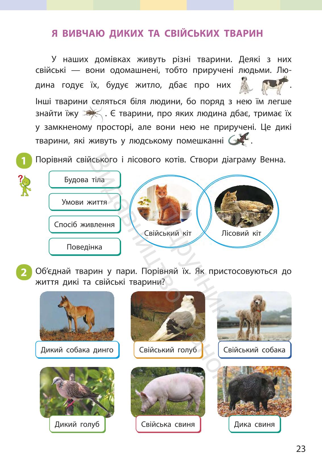 Мініатюра 22