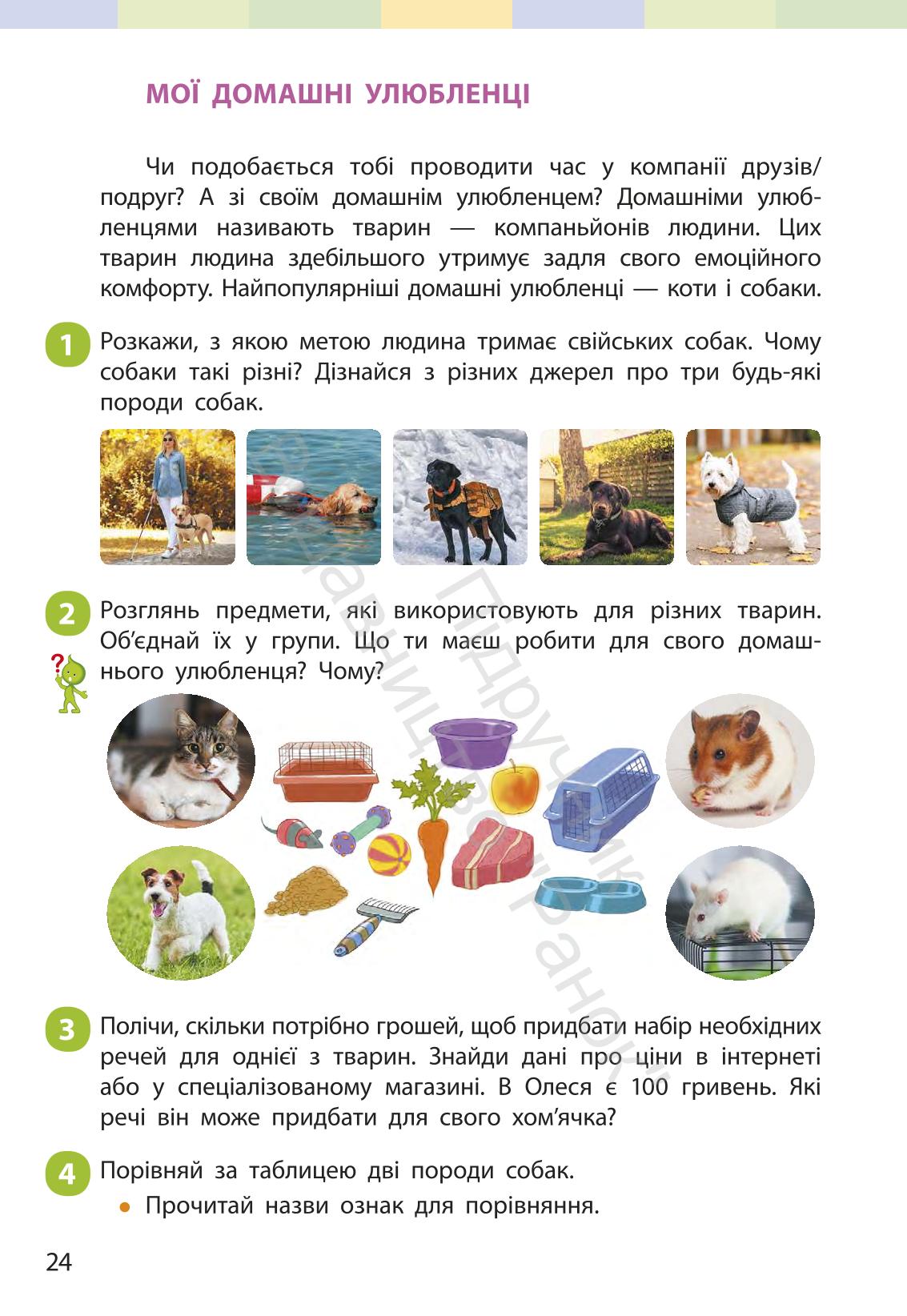 Мініатюра 23