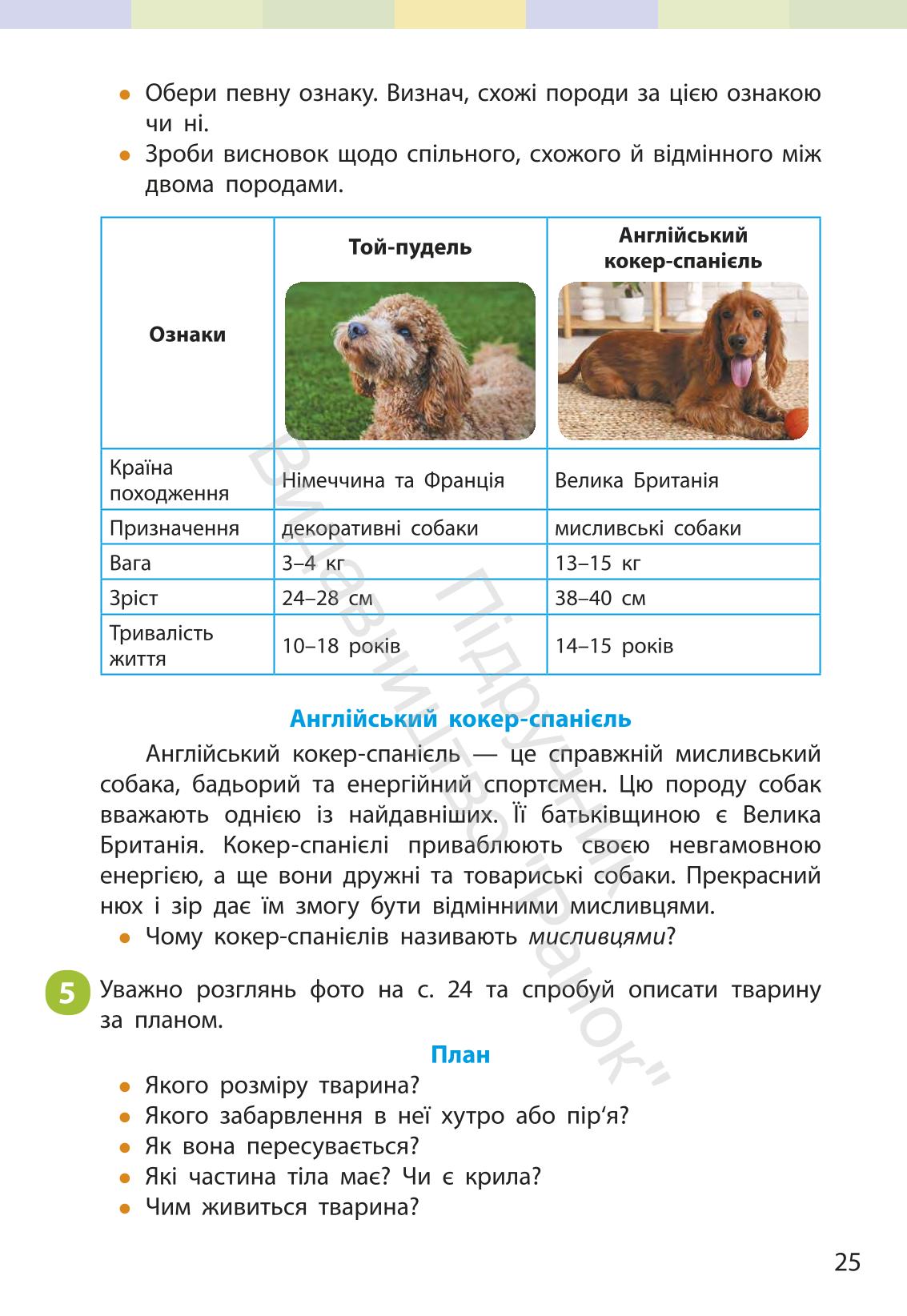 Мініатюра 24