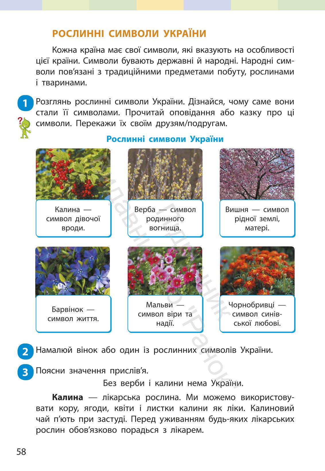 Мініатюра 57