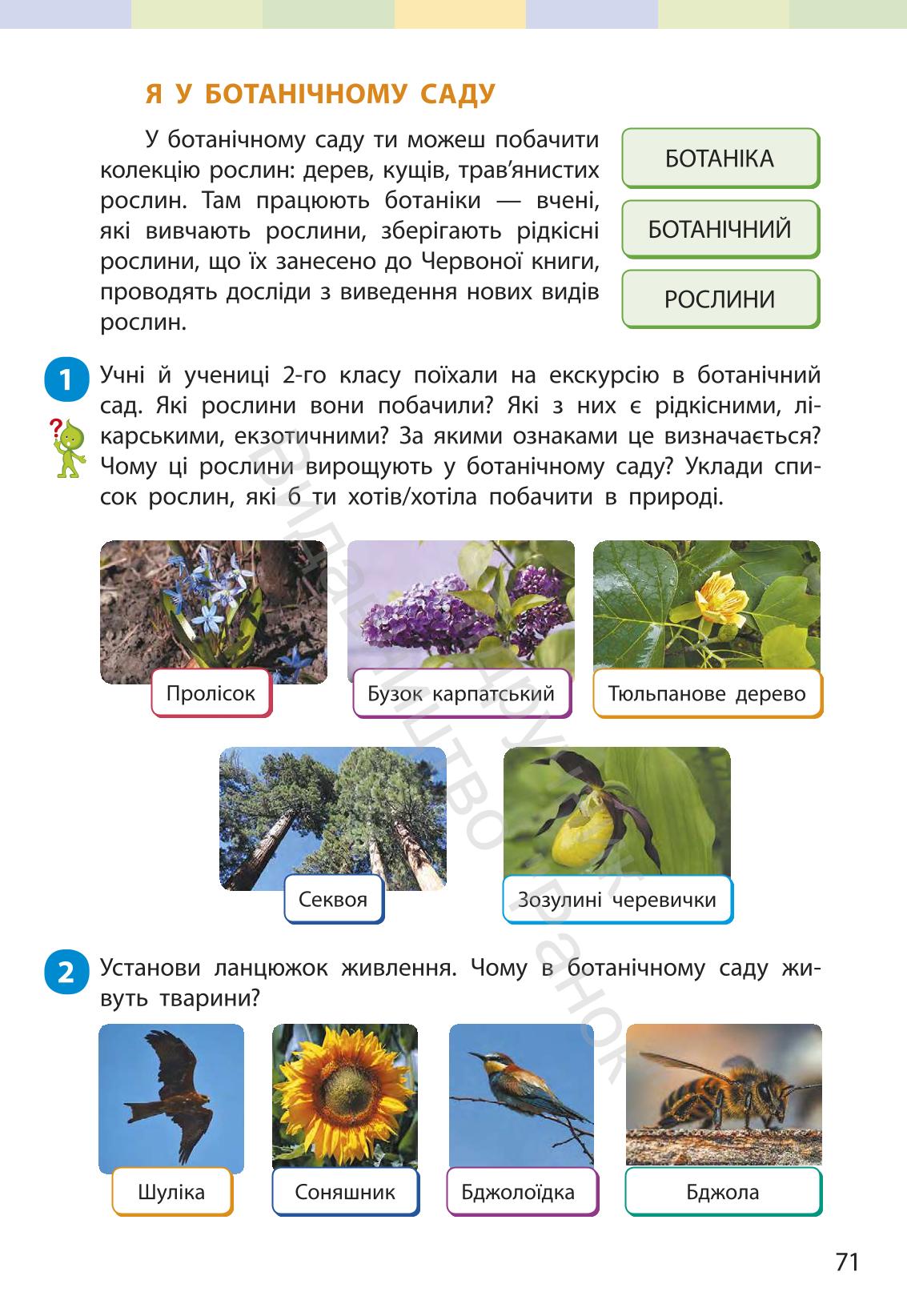 Мініатюра 70