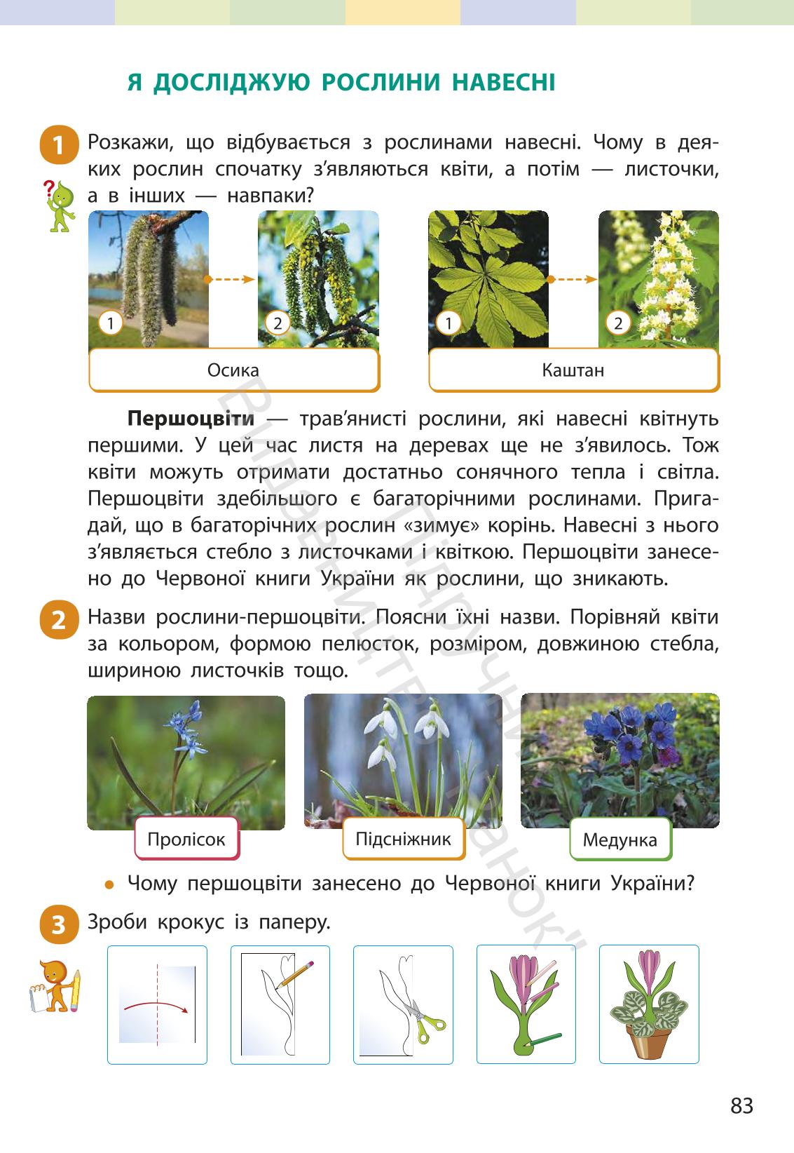 Мініатюра 82