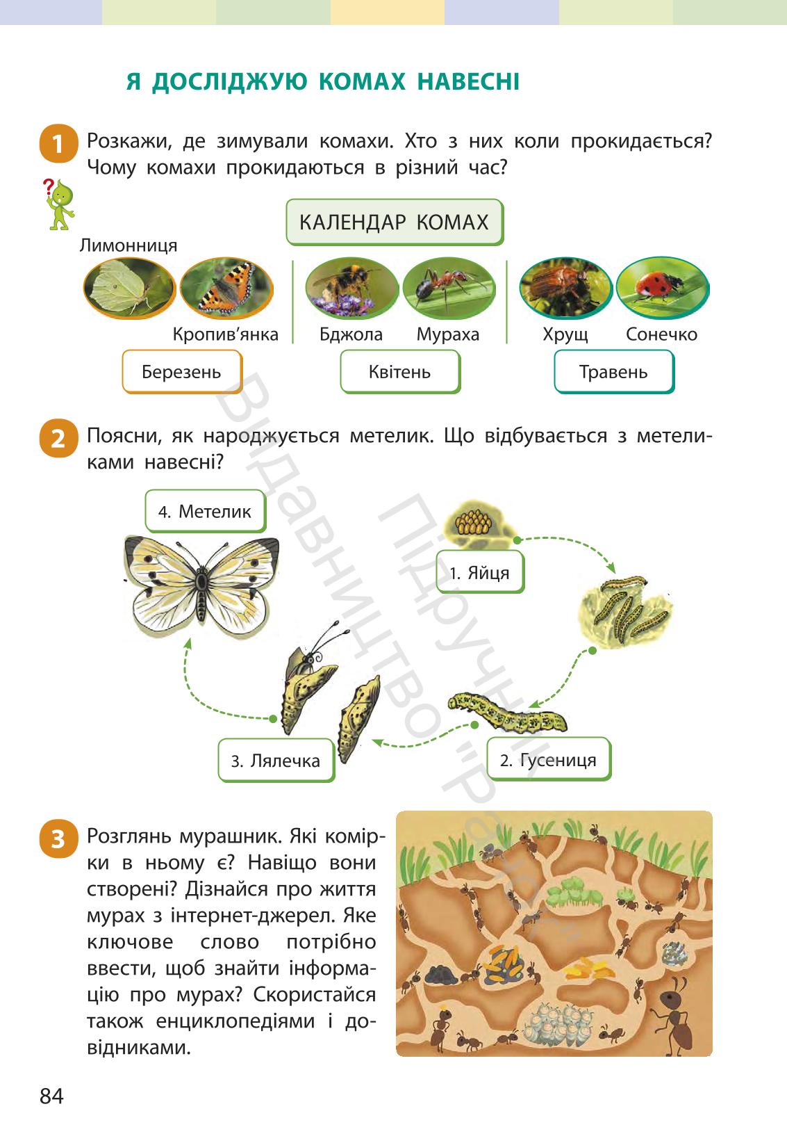 Мініатюра 83