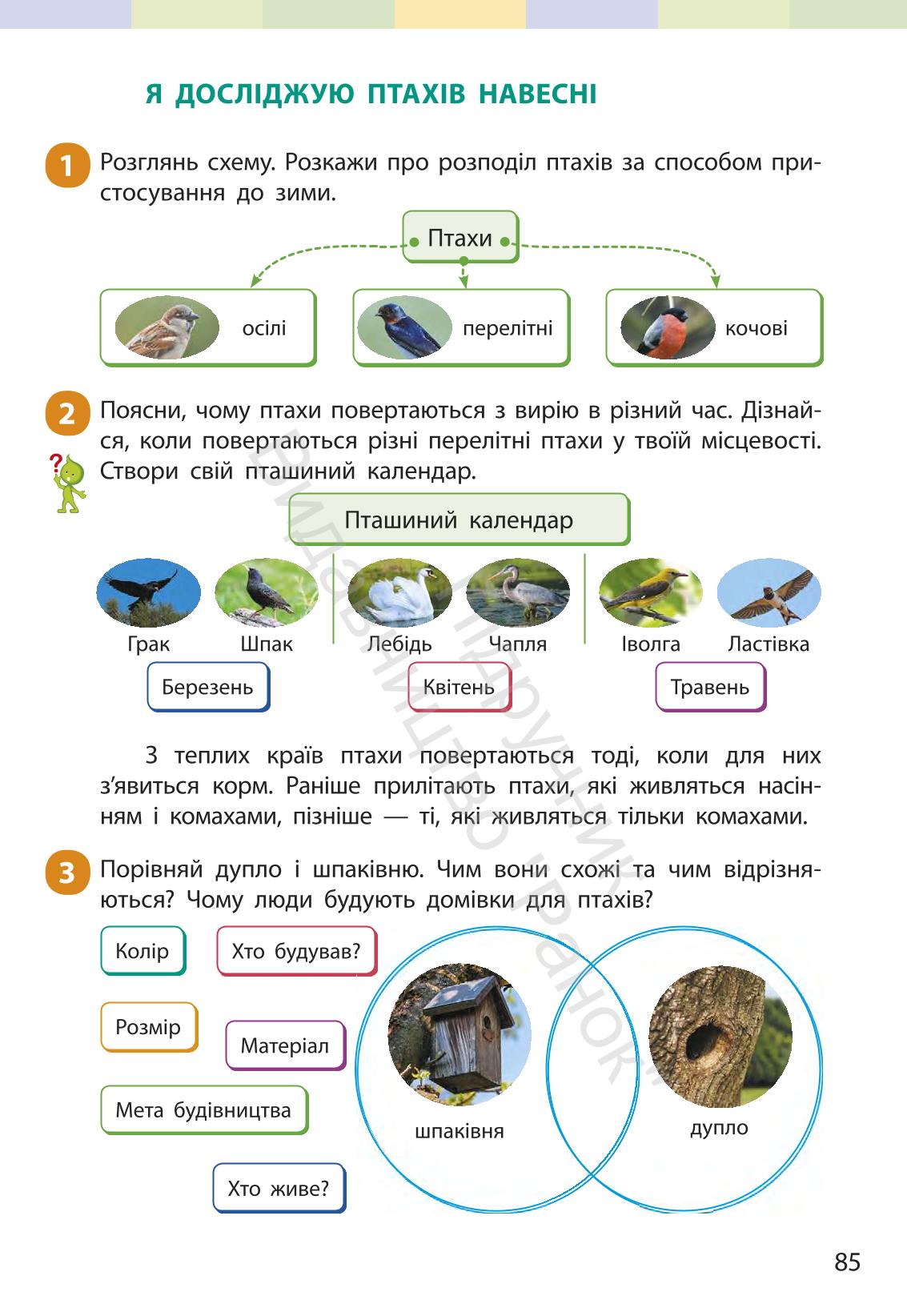 Мініатюра 84