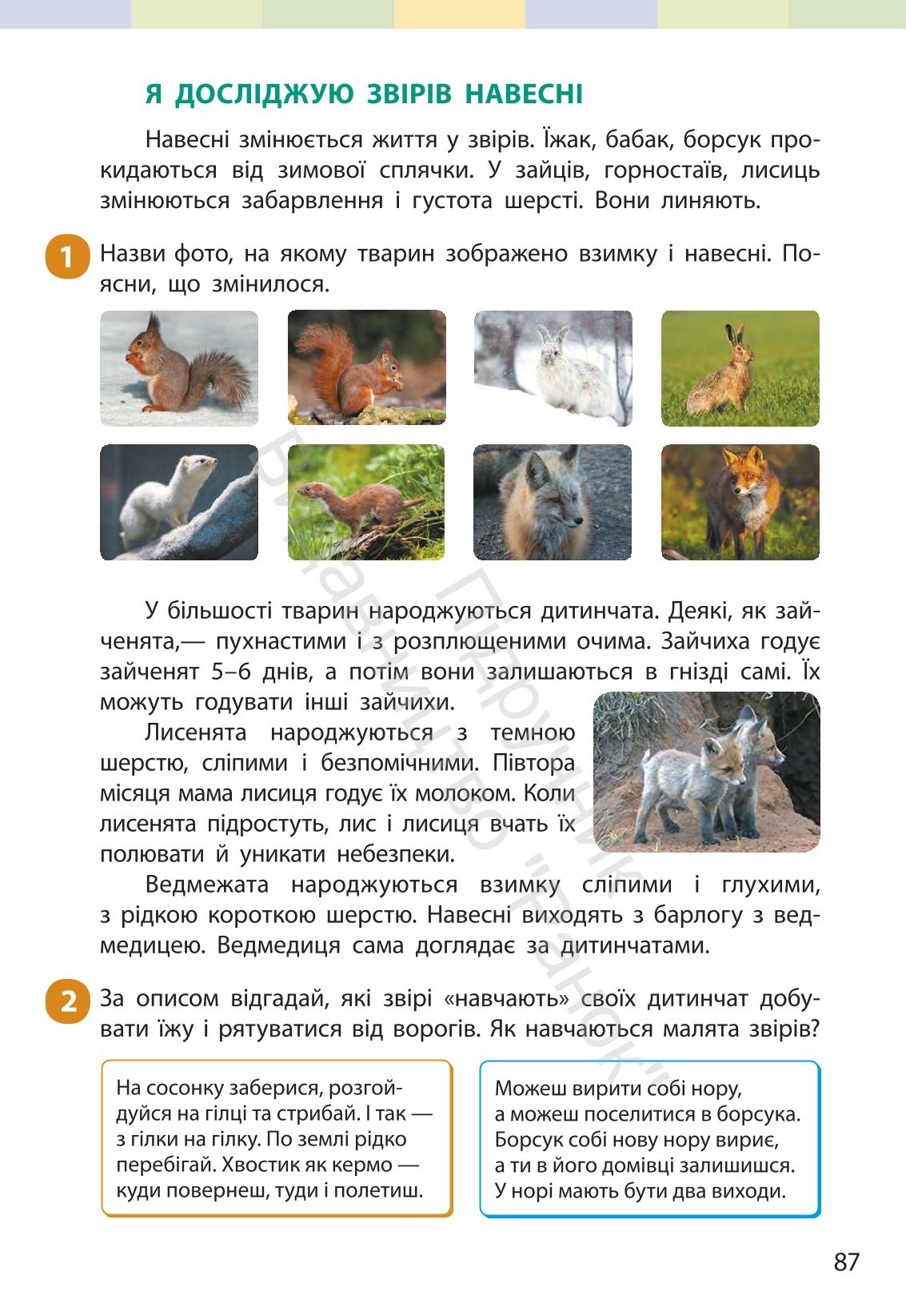 Мініатюра 86