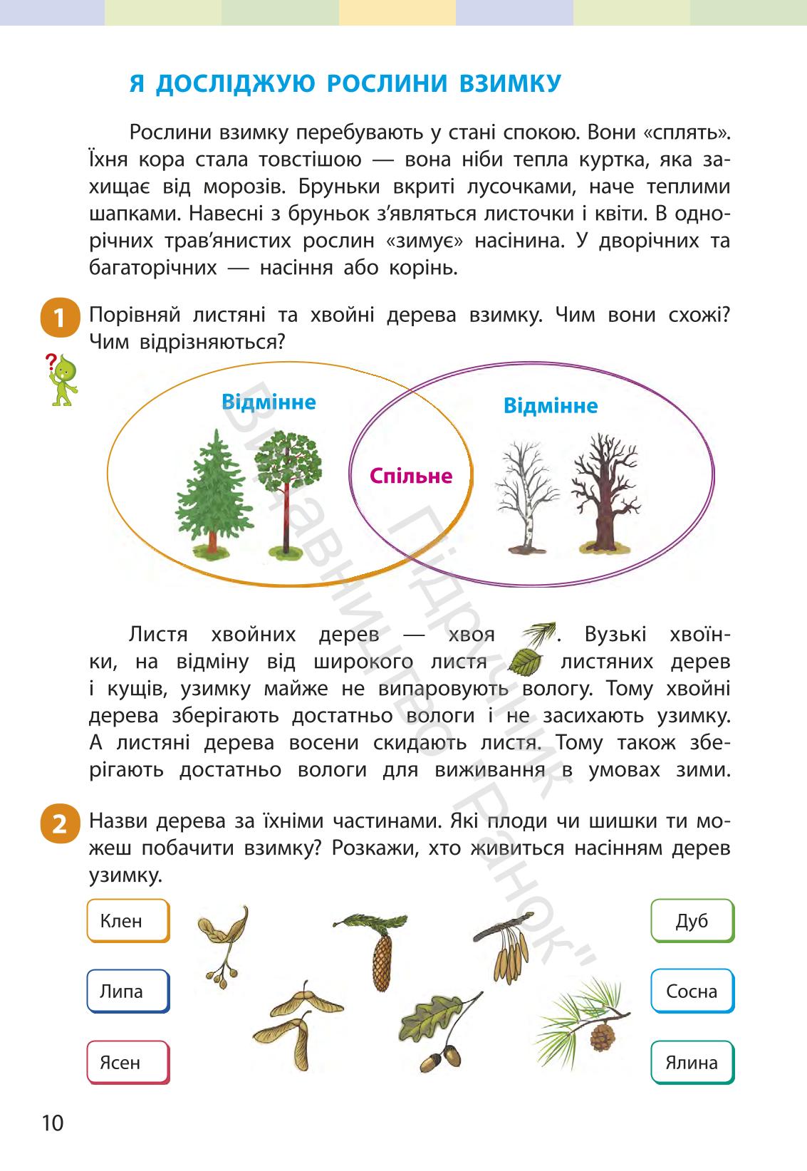 Мініатюра 9