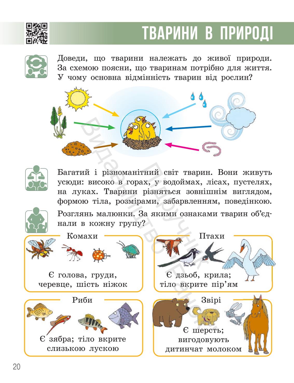Мініатюра 19