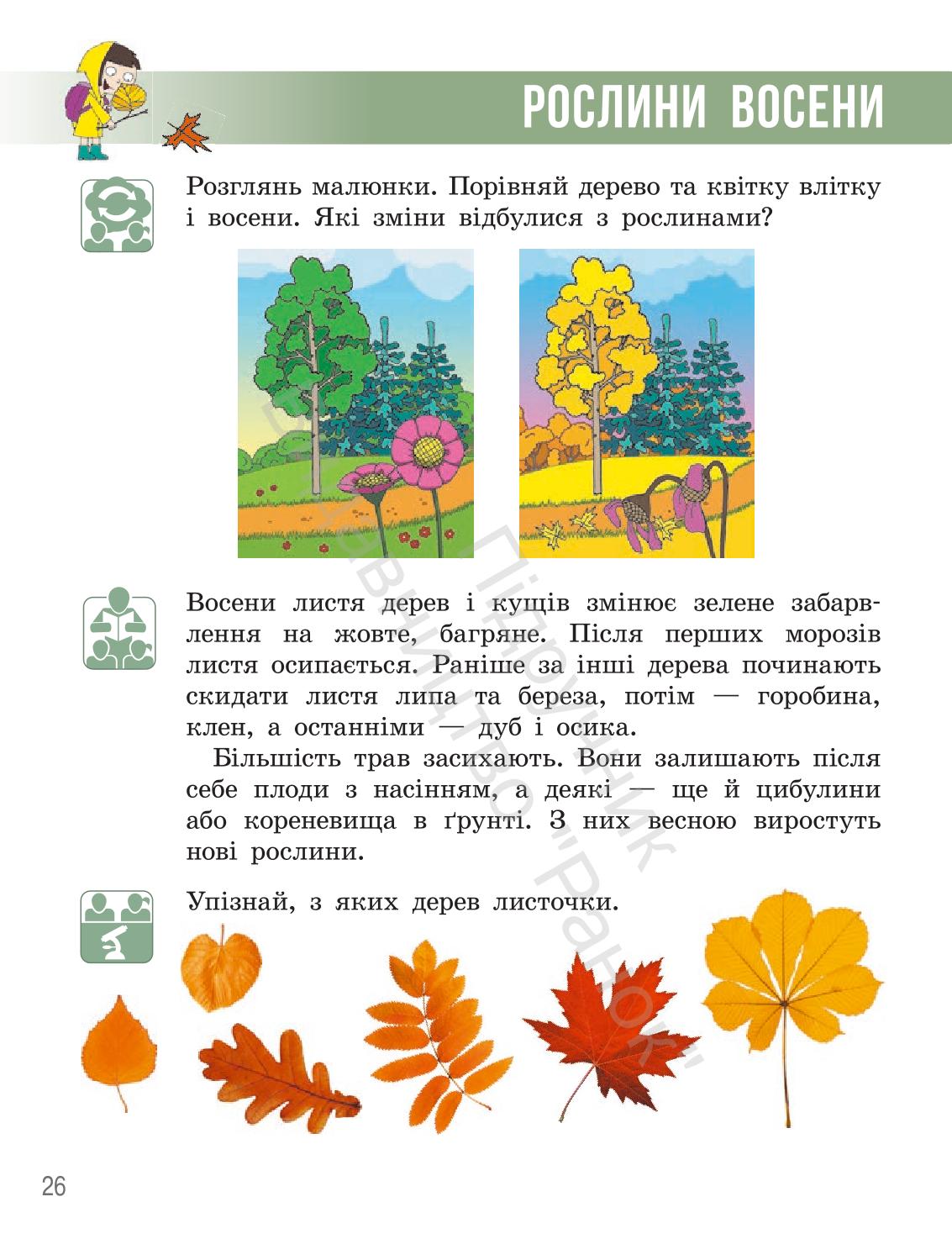 Мініатюра 25