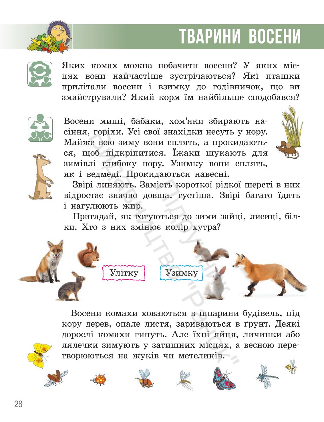 Мініатюра 27
