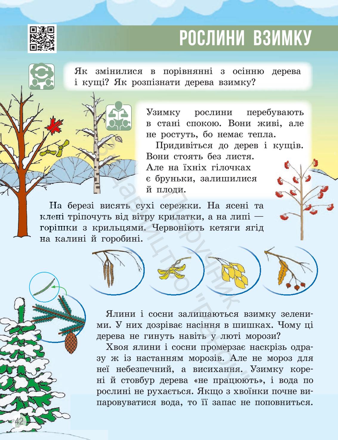 Мініатюра 41