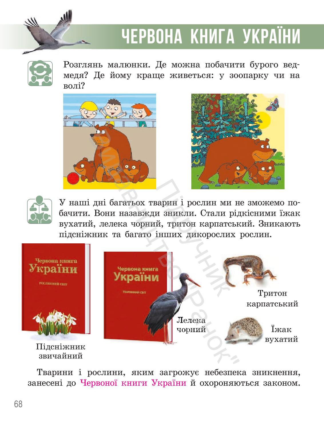 Мініатюра 67