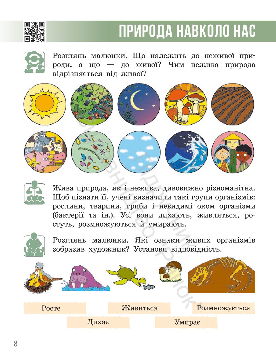 Мініатюра 7