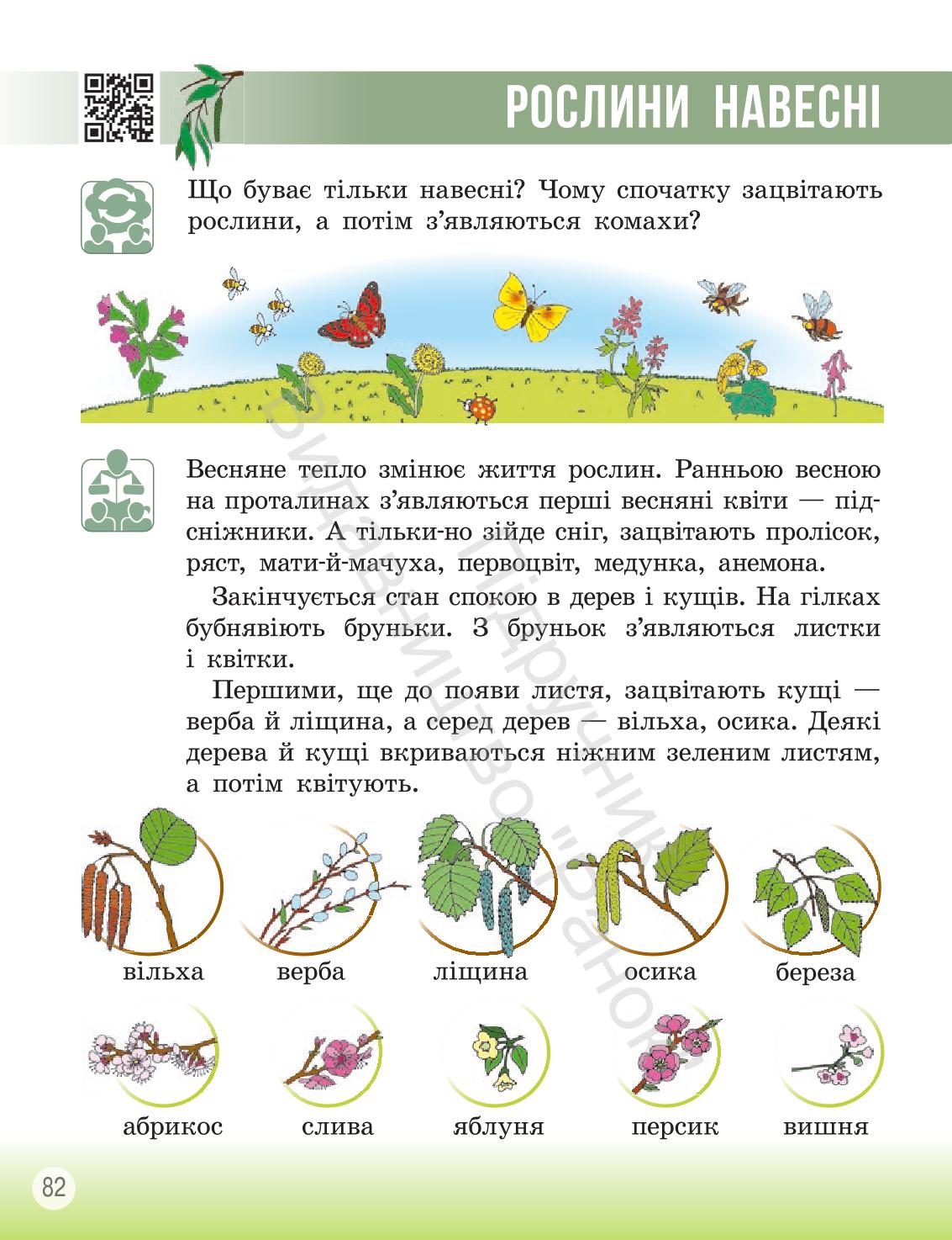 Мініатюра 81