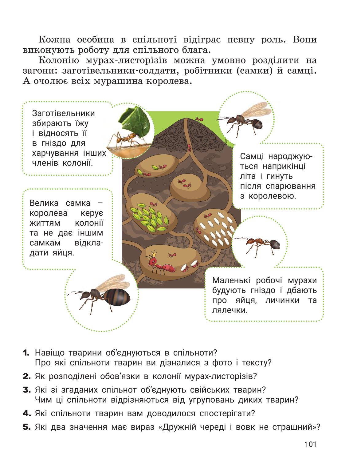 Мініатюра 100