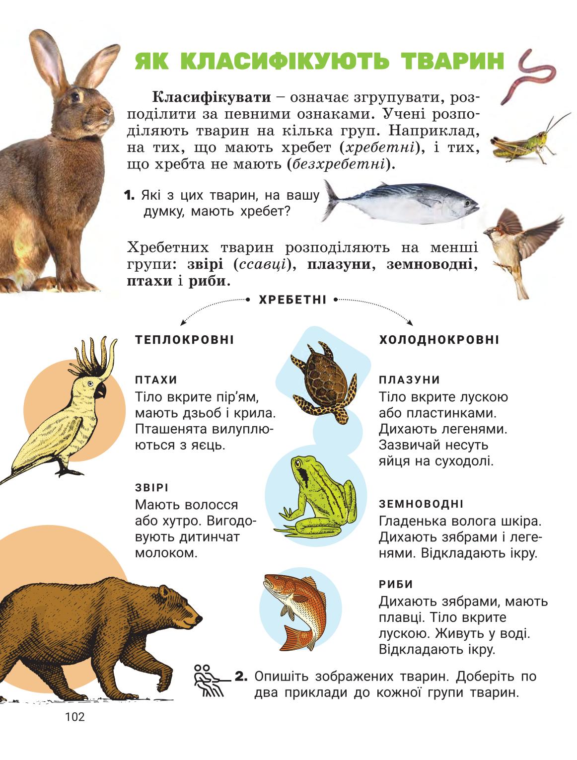 Мініатюра 101