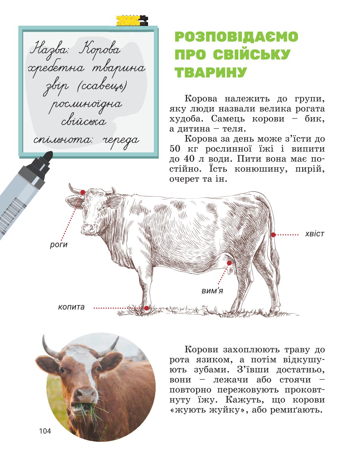 Мініатюра 103