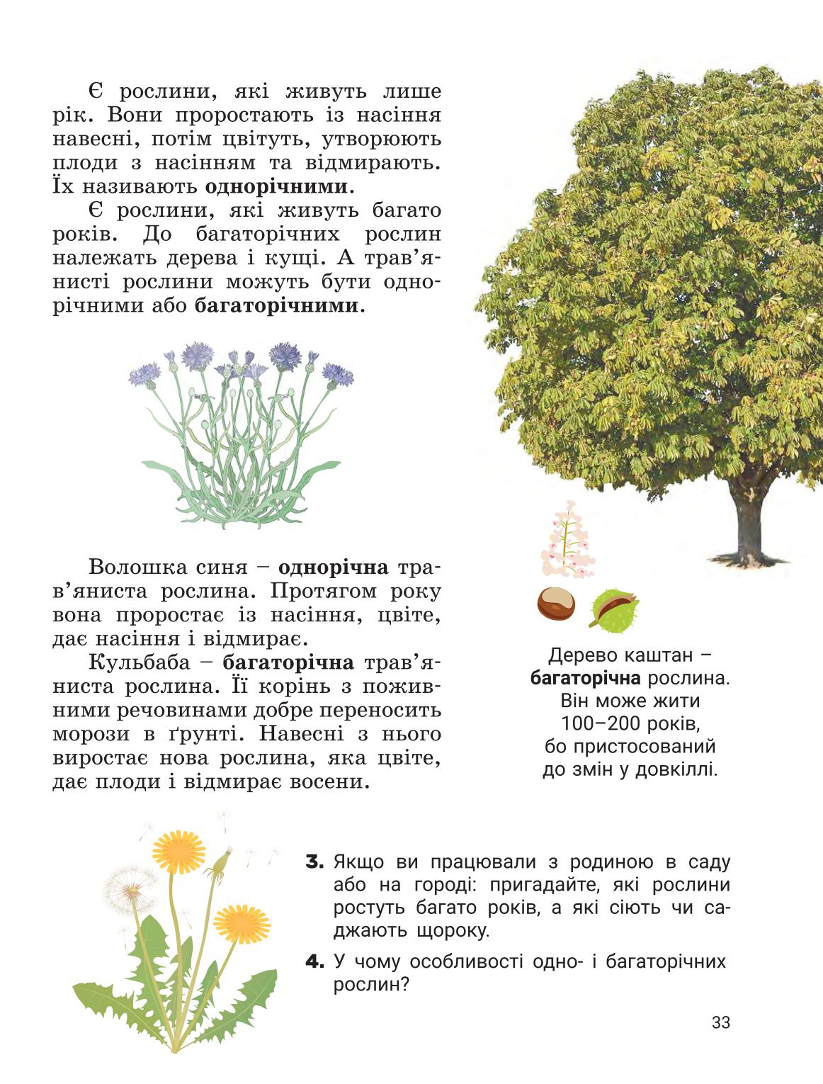 Мініатюра 32