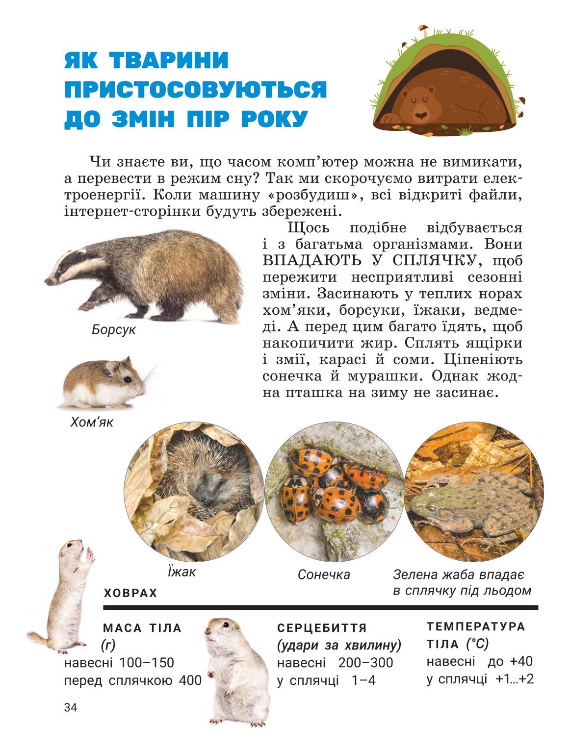 Мініатюра 33