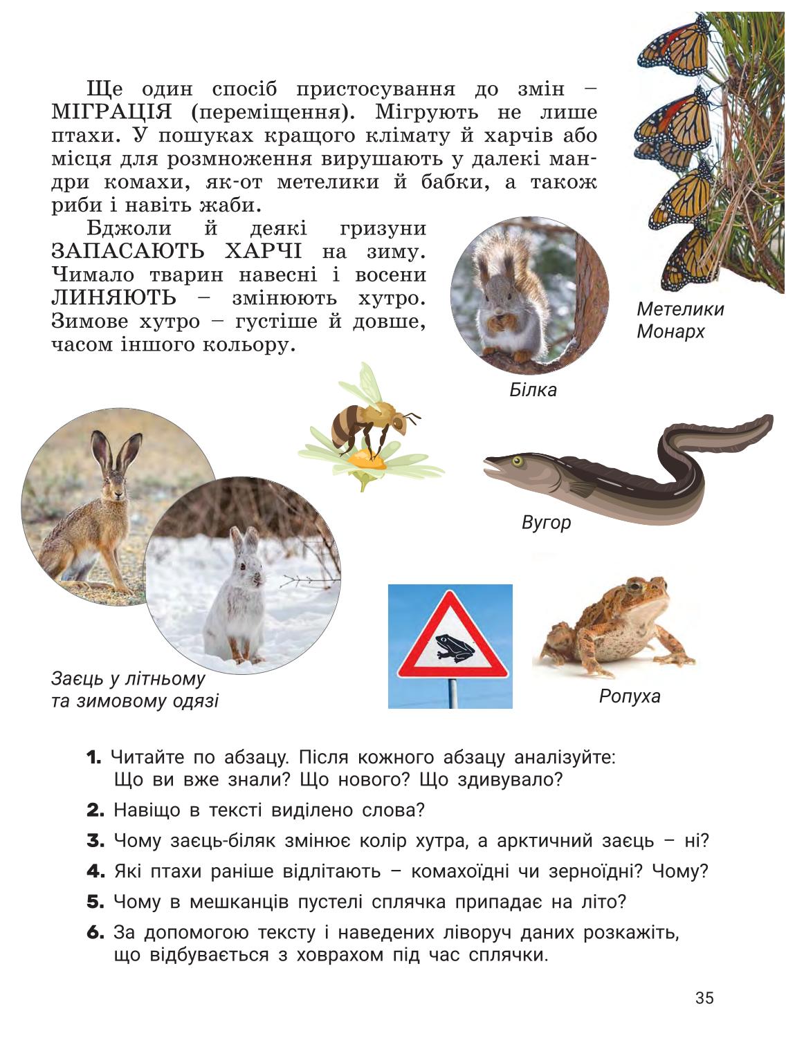 Мініатюра 34